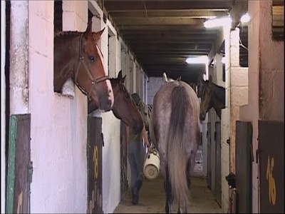 Horse and Country